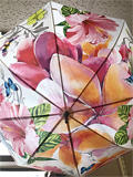 Floral Umbrella $38.00